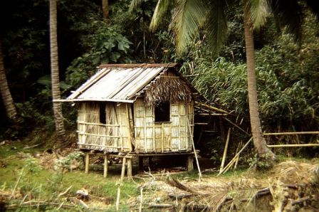 kb jpeg baclayon houses http korakora org tag indigenous architecture