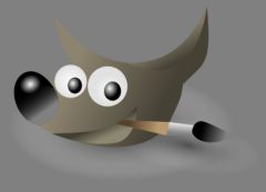 GIMP.png
